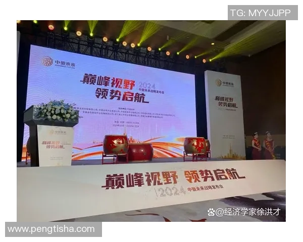 巅峰视野引领创新潮流，共同定义未来发展新篇章