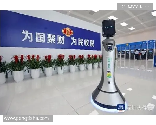 巅峰国际携手全球视野与本土智慧共创未来发展新篇章