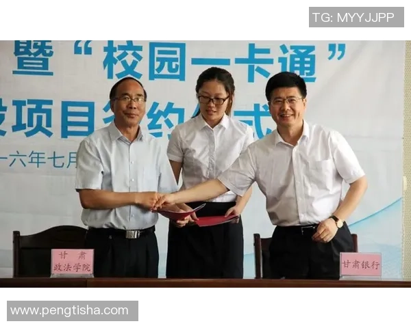 巅峰国际携手全球视野与本土智慧共创未来发展新篇章