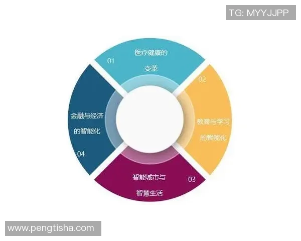巅峰国际社会责任项目的全面解析与未来展望